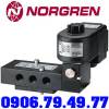 Norgren K41EA00KS1KV2 - anh 1