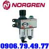 Norgren D1024H-A1 - anh 1