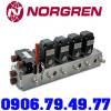 Norgren D1024C-CY - anh 1